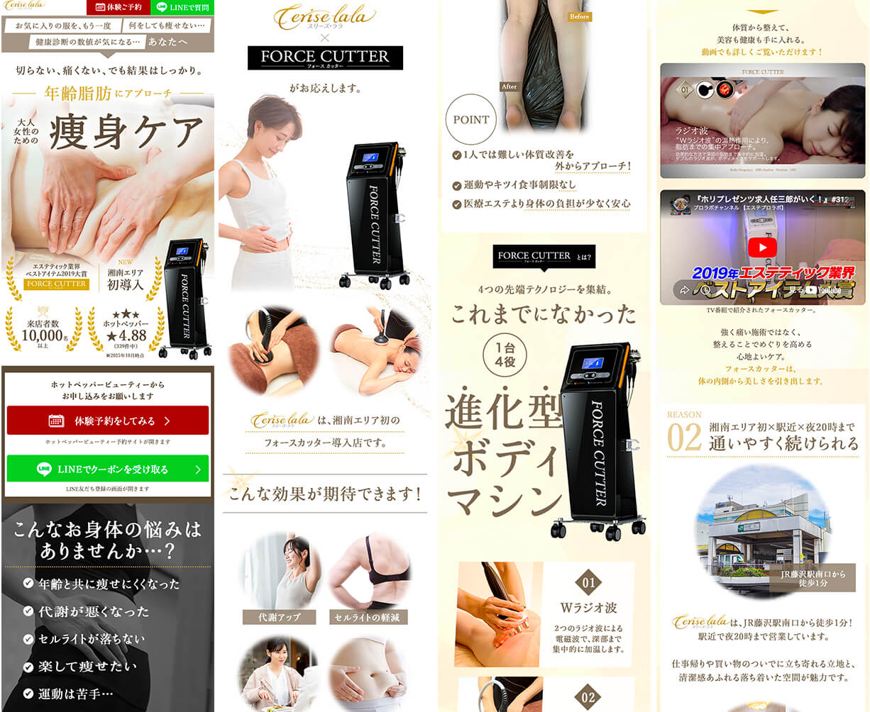 エステ機器LPの全体デザイン